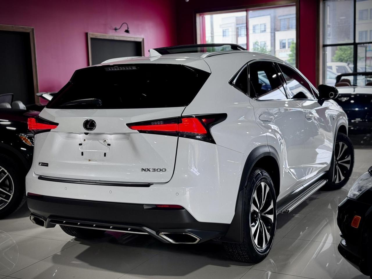 NX300 F-SPORT