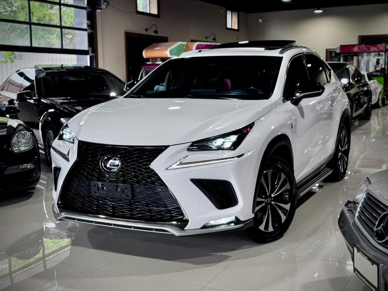 NX300 F-SPORT