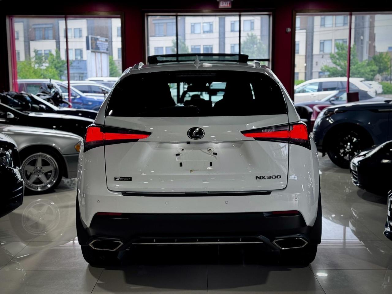 NX300 F-SPORT